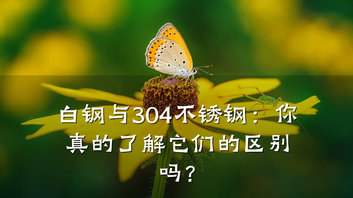 白钢与304不锈钢：你真的了解它们的区别吗？