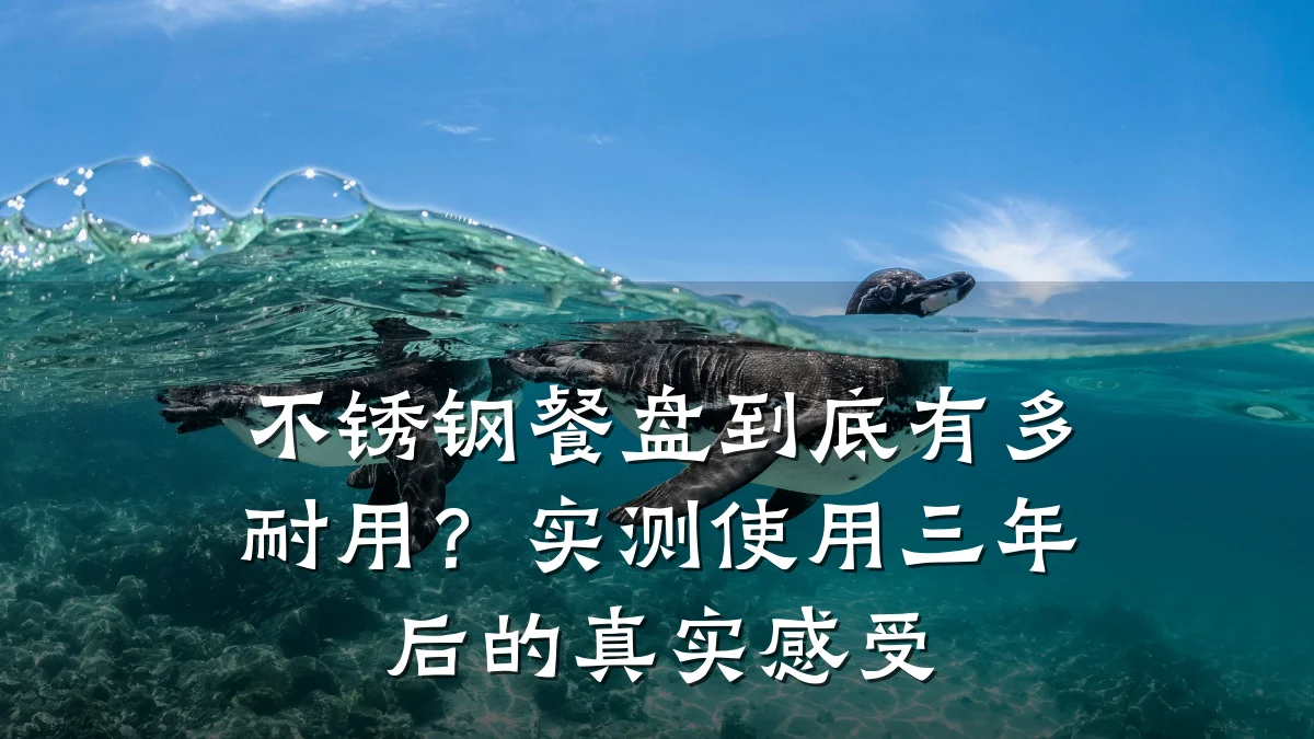 不锈钢餐盘到底有多耐用？实测使用三年后的真实感受