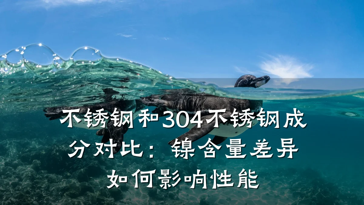 不锈钢和304不锈钢成分对比：镍含量差异如何影响性能