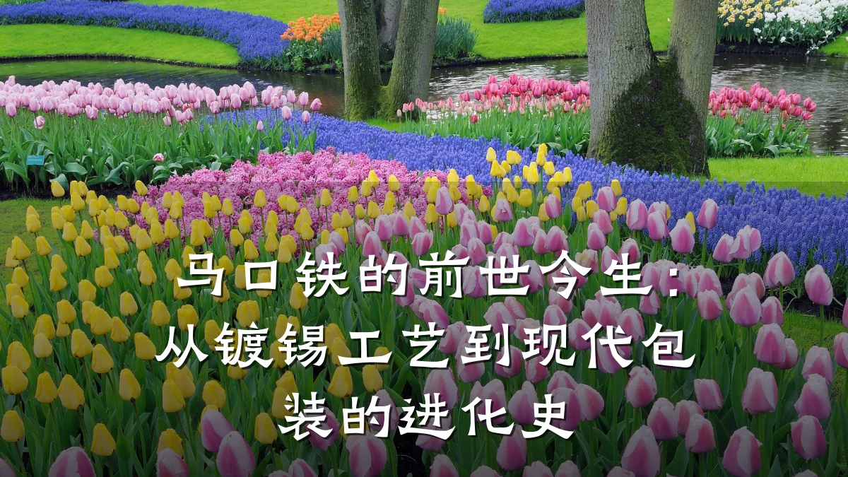 马口铁的前世今生：从镀锡工艺到现代包装的进化史