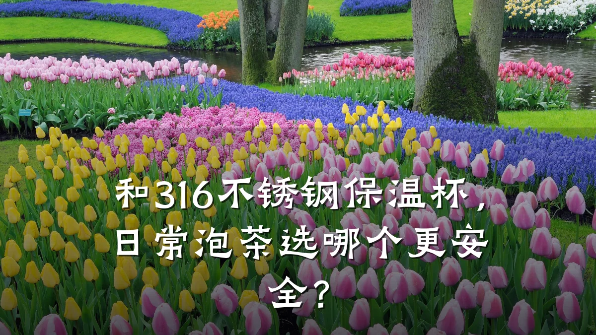 和316不锈钢保温杯,日常泡茶选哪个更安全?
