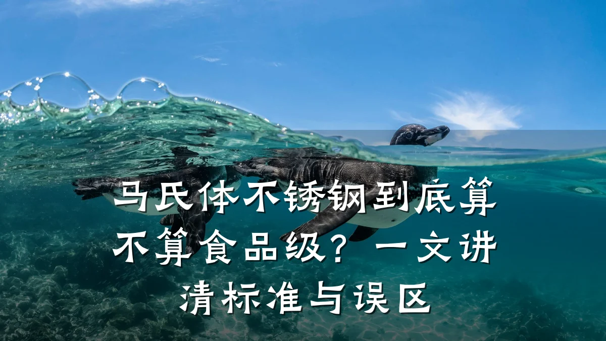 马氏体不锈钢到底算不算食品级?一文讲清标准与误区