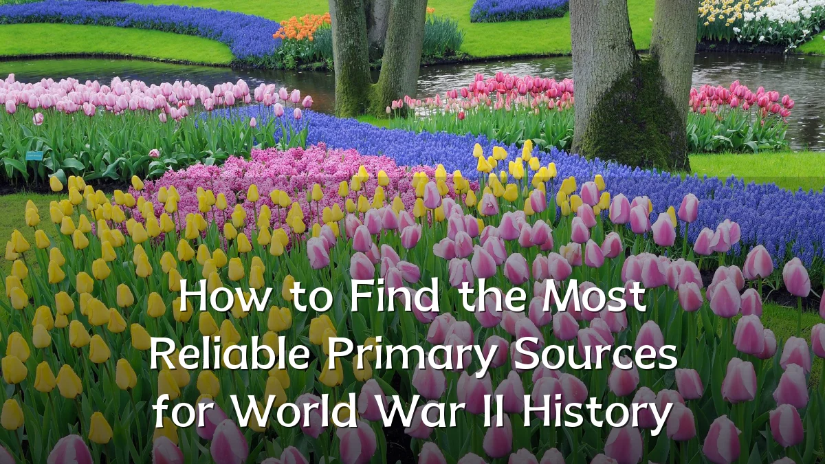 How to Find the Most Reliable Primary Sources for World War II History