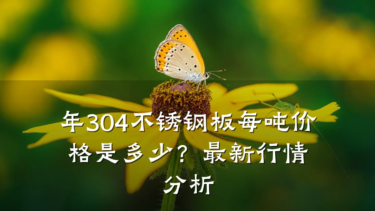 年304不锈钢板每吨价格是多少?最新行情分析