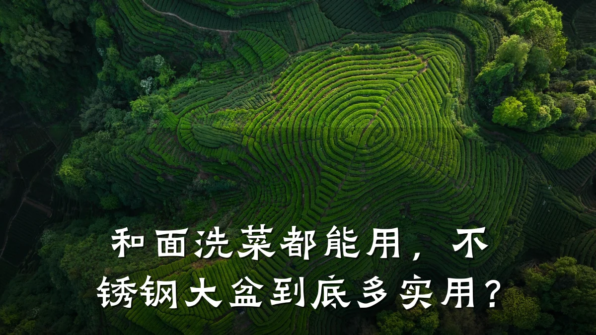 和面洗菜都能用,不锈钢大盆到底多实用?