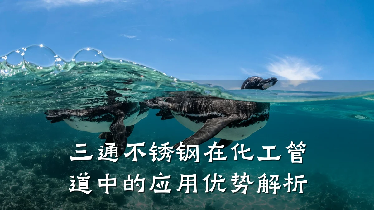 三通不锈钢在化工管道中的应用优势解析