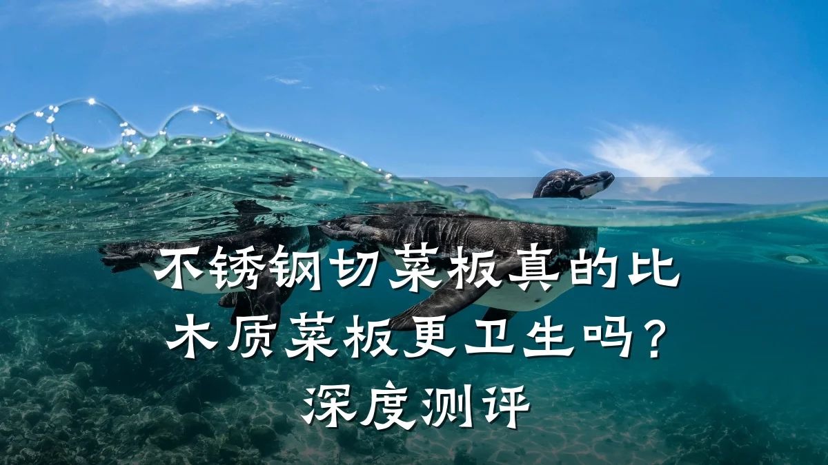 不锈钢切菜板真的比木质菜板更卫生吗？深度测评