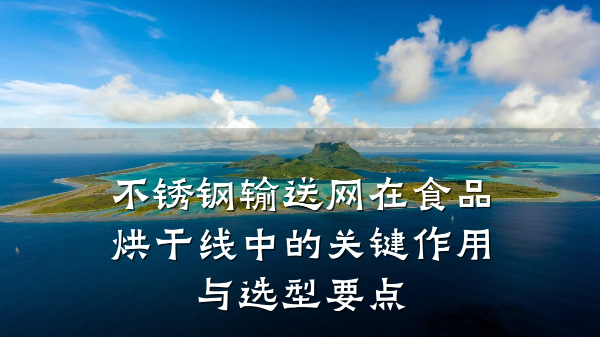 不锈钢输送网在食品烘干线中的关键作用与选型要点
