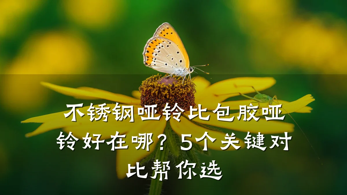 不锈钢哑铃比包胶哑铃好在哪?5个关键对比帮你选