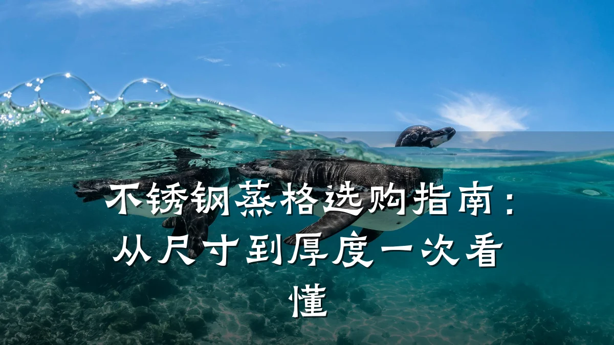 不锈钢蒸格选购指南：从尺寸到厚度一次看懂