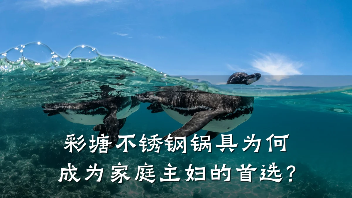 彩塘不锈钢锅具为何成为家庭主妇的首选?