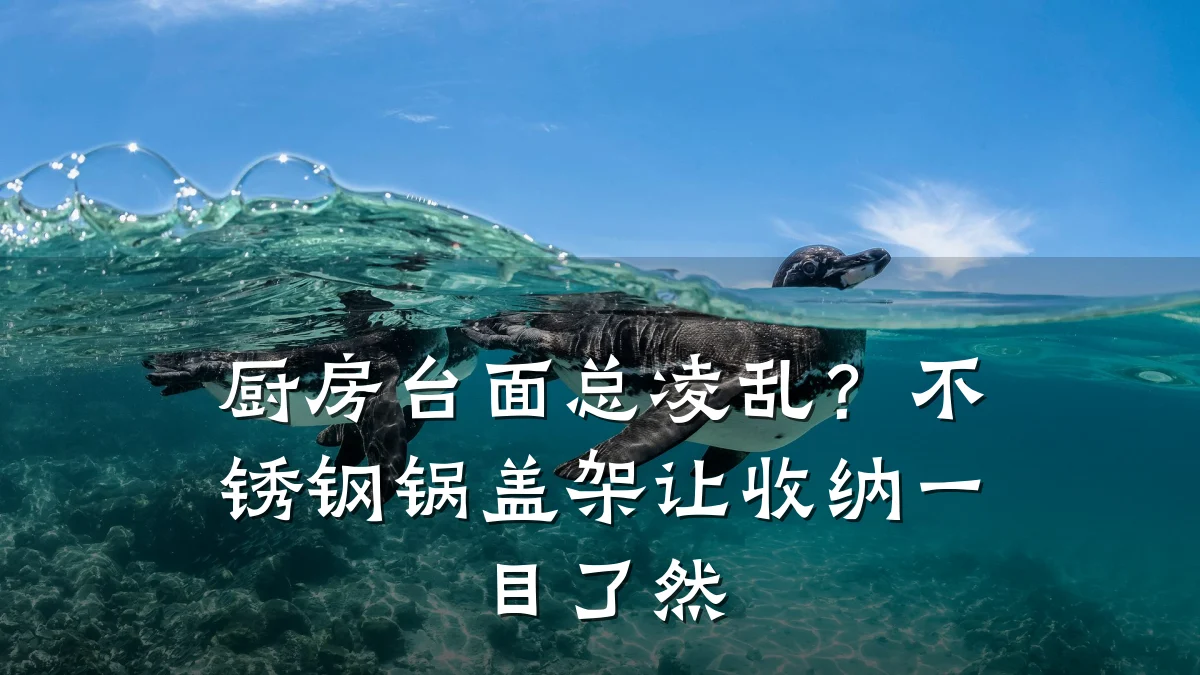 厨房台面总凌乱?不锈钢锅盖架让收纳一目了然