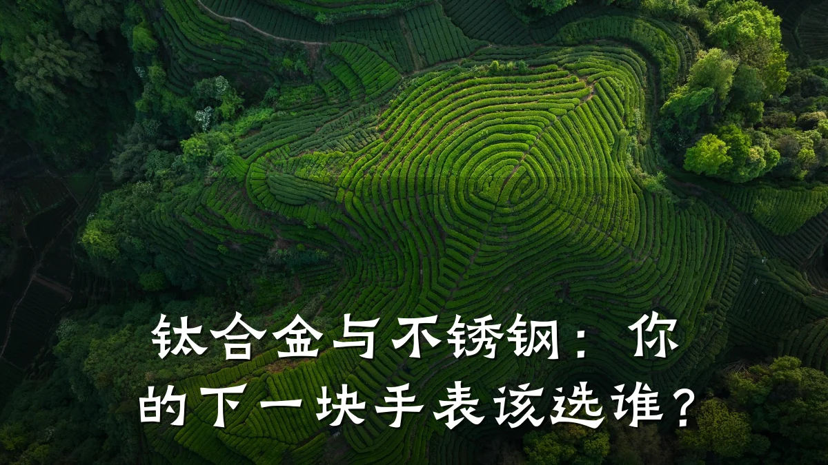 钛合金与不锈钢：你的下一块手表该选谁？