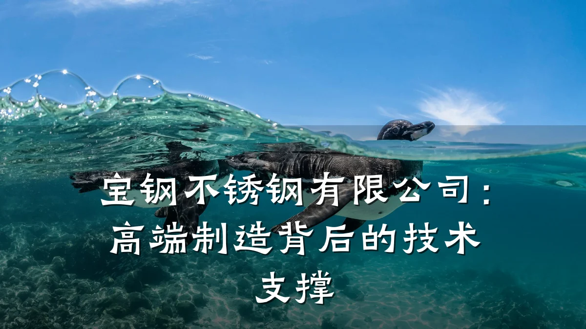 宝钢不锈钢有限公司：高端制造背后的技术支撑