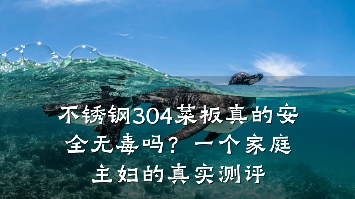 不锈钢304菜板真的安全无毒吗？一个家庭主妇的真实测评