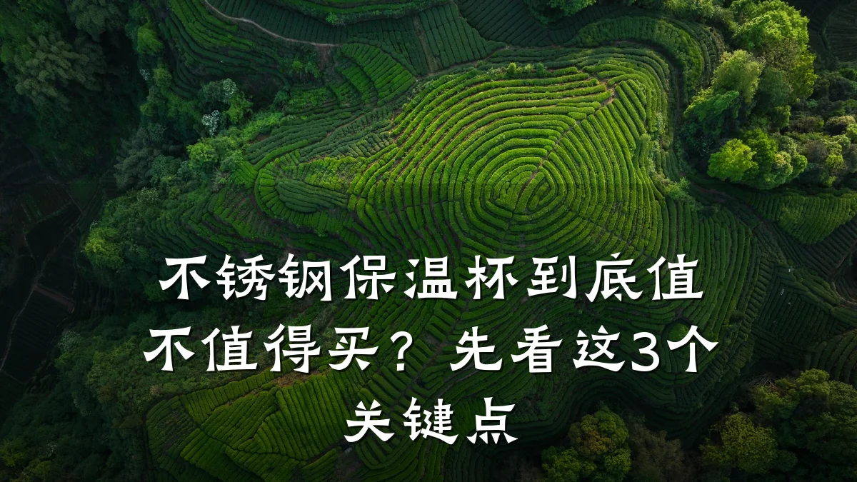 不锈钢保温杯到底值不值得买？先看这3个关键点