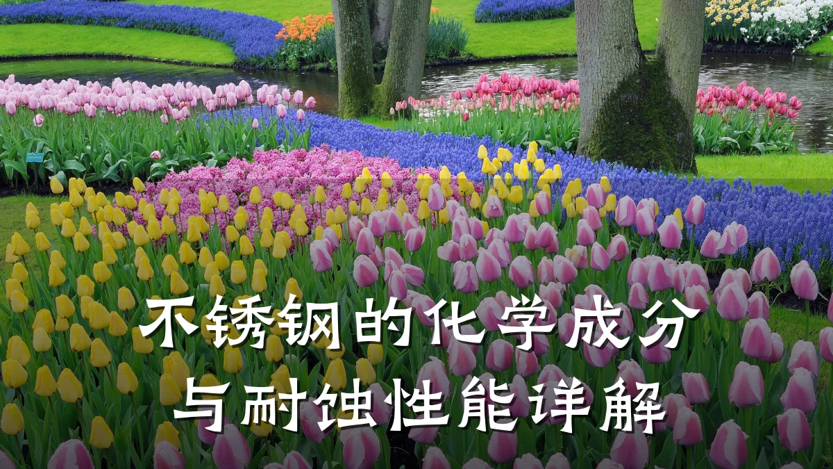 不锈钢的化学成分与耐蚀性能详解