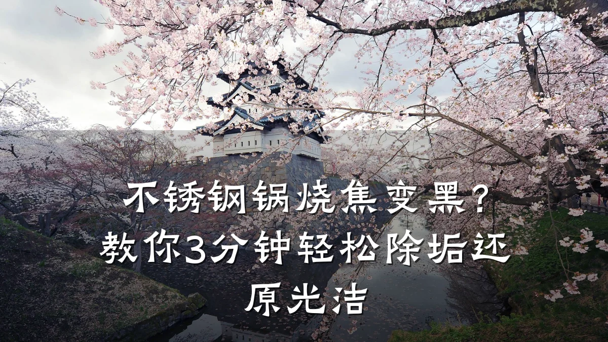 不锈钢锅烧焦变黑?教你3分钟轻松除垢还原光洁