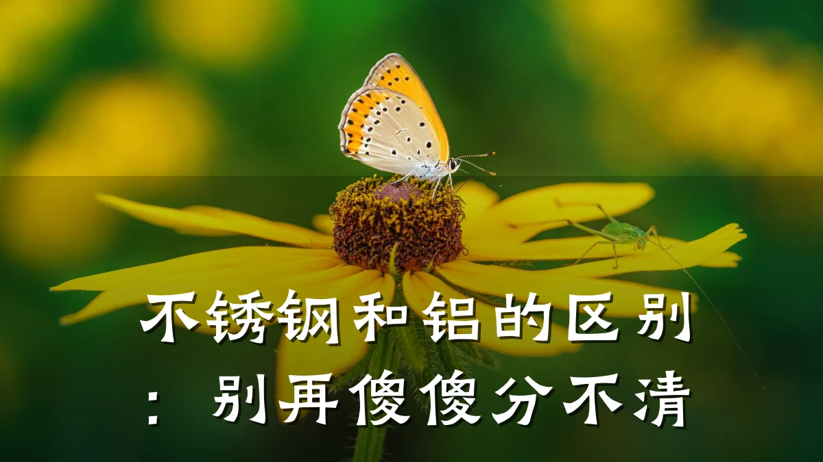 不锈钢和铝的区别:别再傻傻分不清