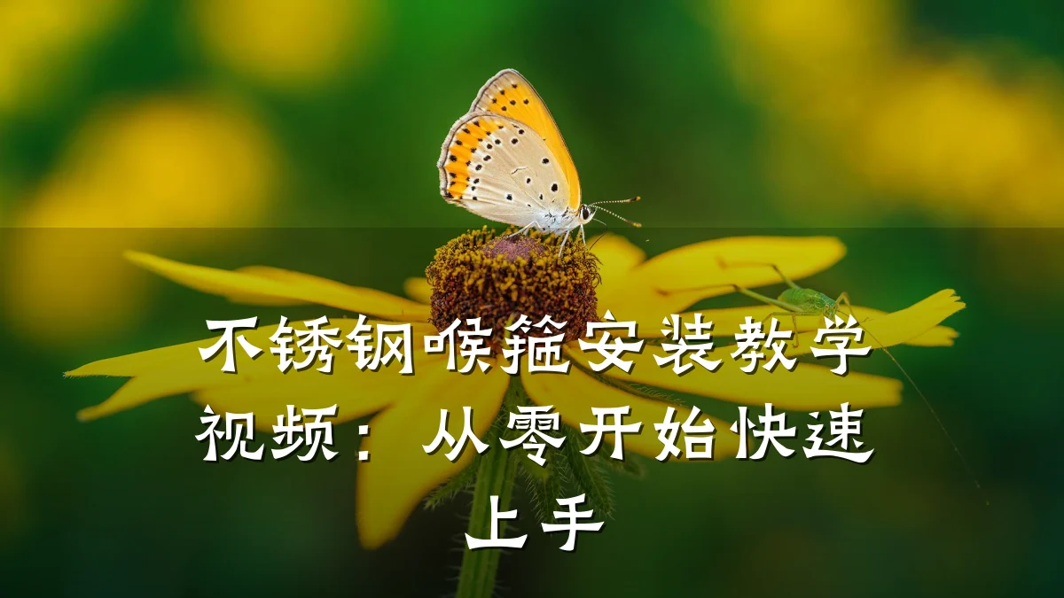 不锈钢喉箍安装教学视频：从零开始快速上手