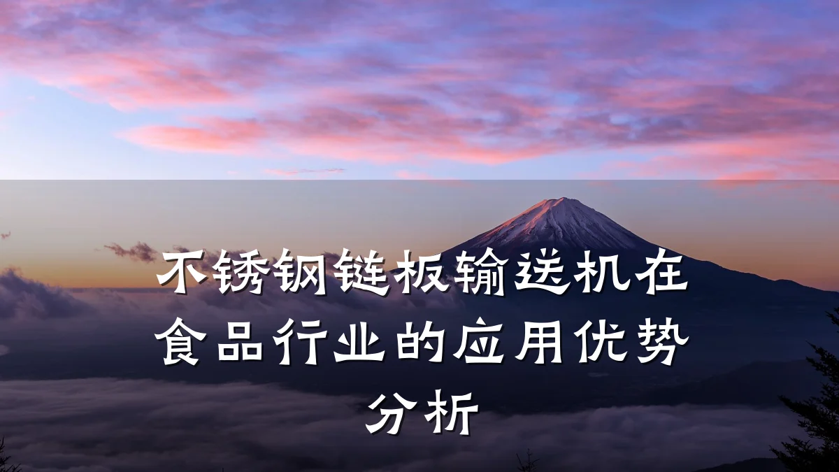 不锈钢链板输送机在食品行业的应用优势分析