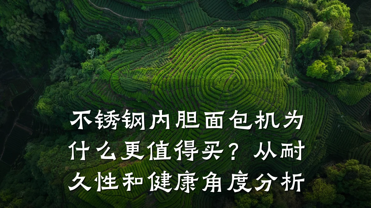 不锈钢内胆面包机为什么更值得买？从耐久性和健康角度分析