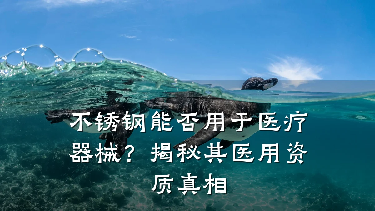 不锈钢能否用于医疗器械?揭秘其医用资质真相