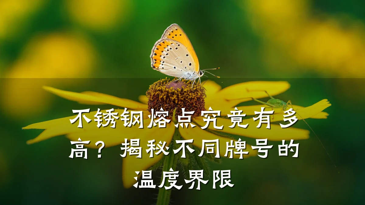 不锈钢熔点究竟有多高？揭秘不同牌号的温度界限