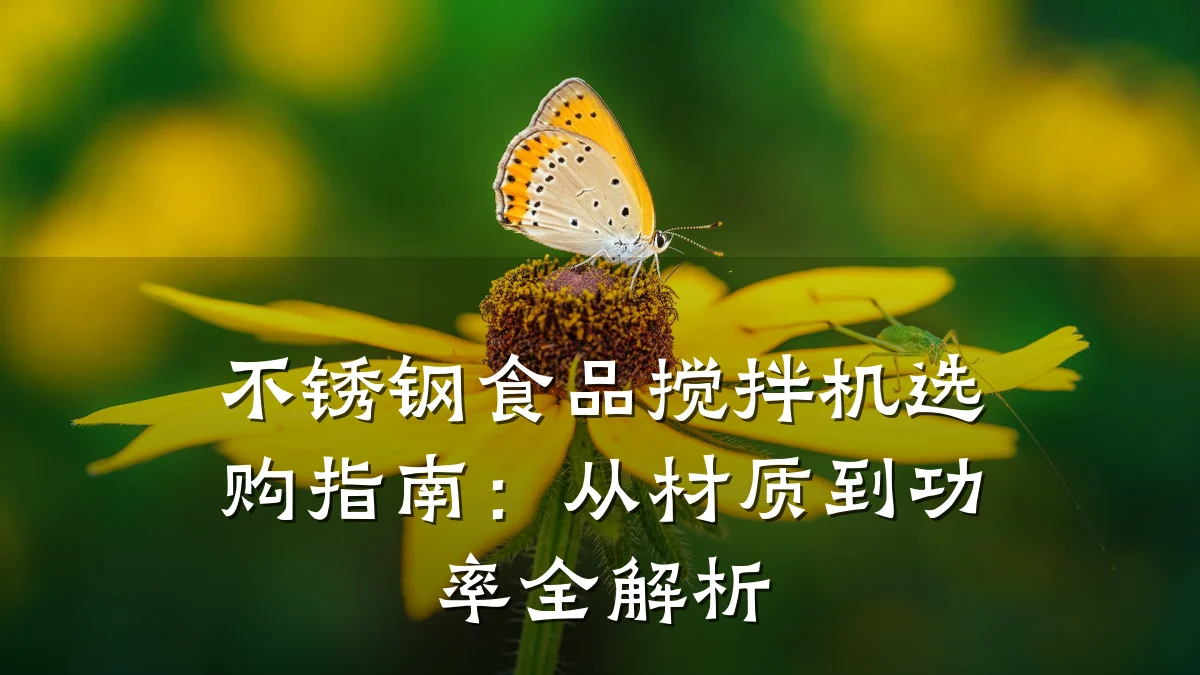 不锈钢食品搅拌机选购指南：从材质到功率全解析