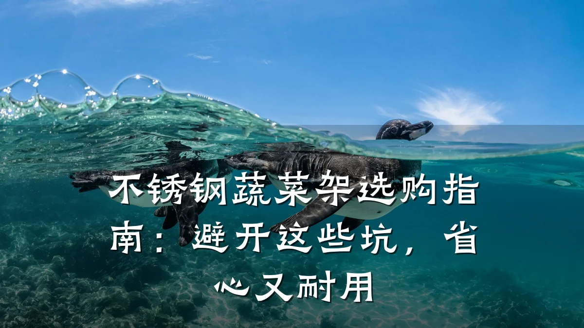 不锈钢蔬菜架选购指南:避开这些坑,省心又耐用