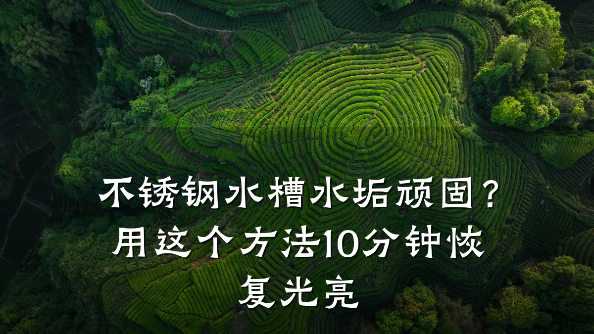 不锈钢水槽水垢顽固?用这个方法10分钟恢复光亮