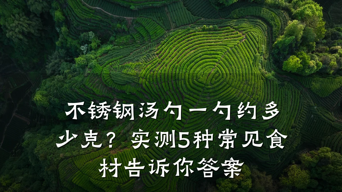 不锈钢汤勺一勺约多少克？实测5种常见食材告诉你答案