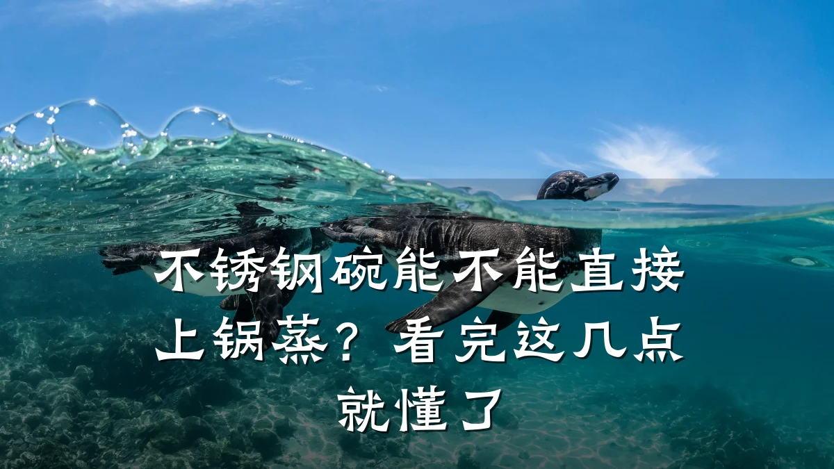 不锈钢碗能不能直接上锅蒸？看完这几点就懂了