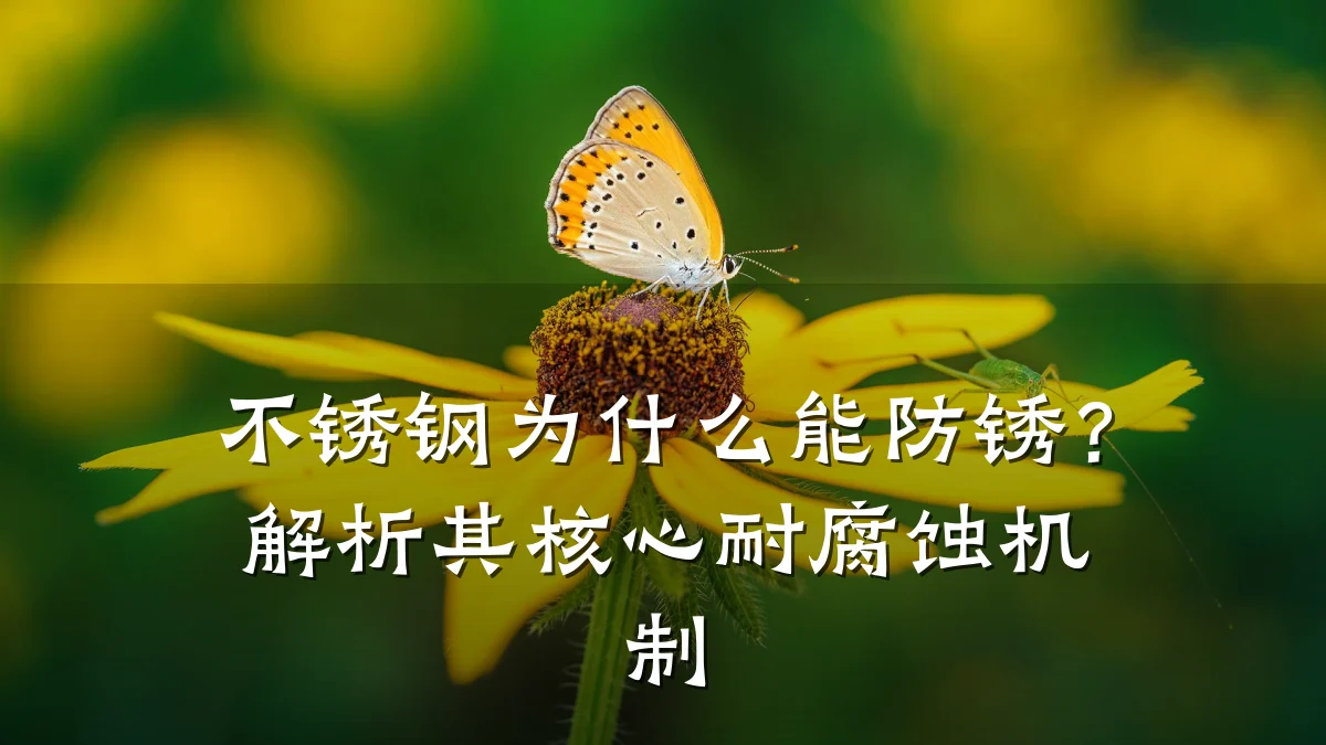不锈钢为什么能防锈?解析其核心耐腐蚀机制