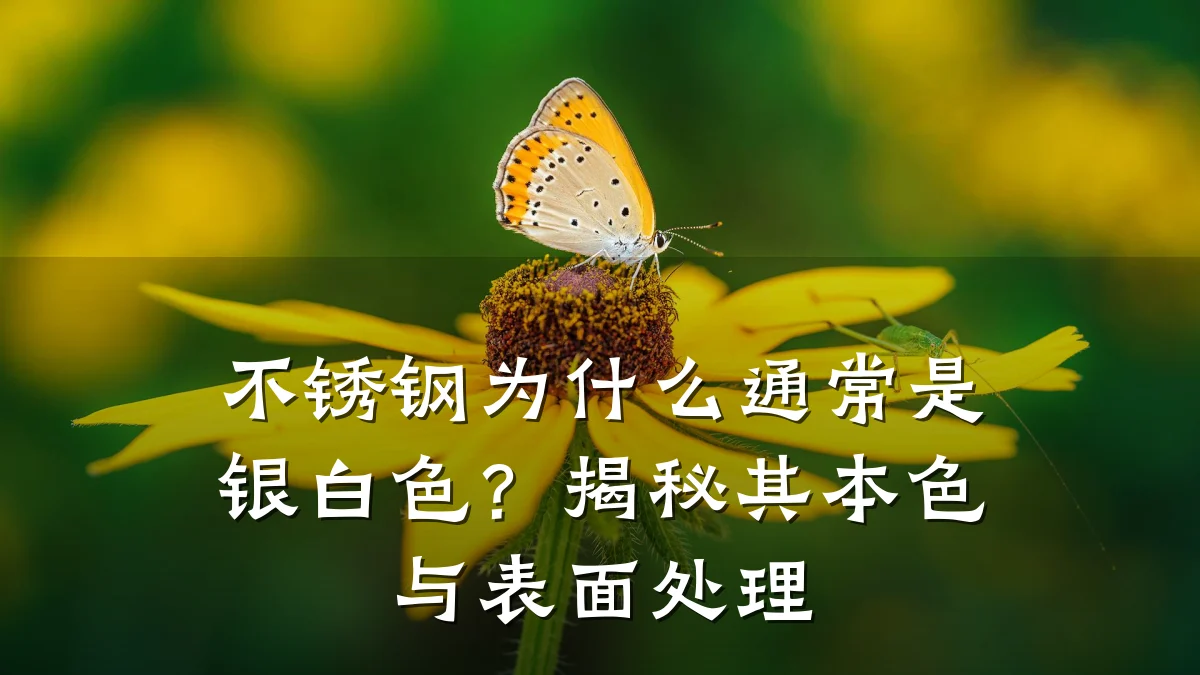 不锈钢为什么通常是银白色？揭秘其本色与表面处理