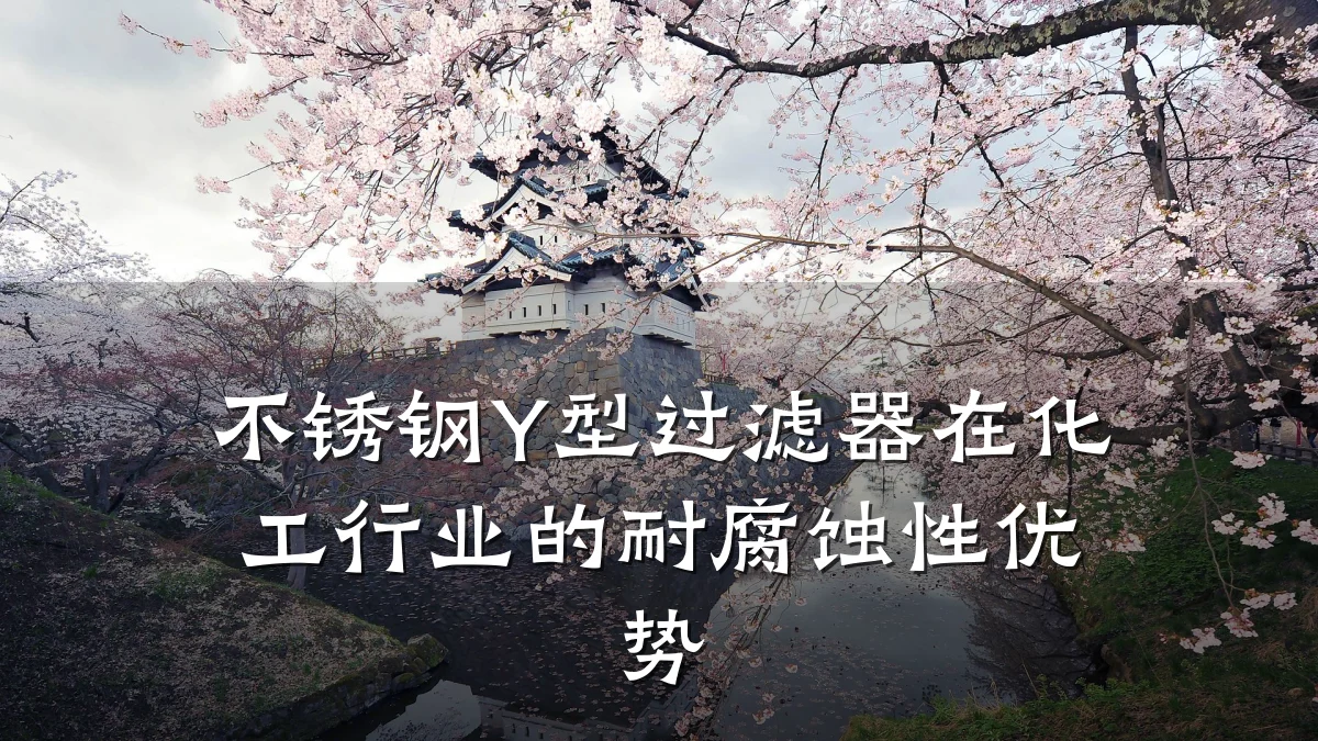 不锈钢Y型过滤器在化工行业的耐腐蚀性优势