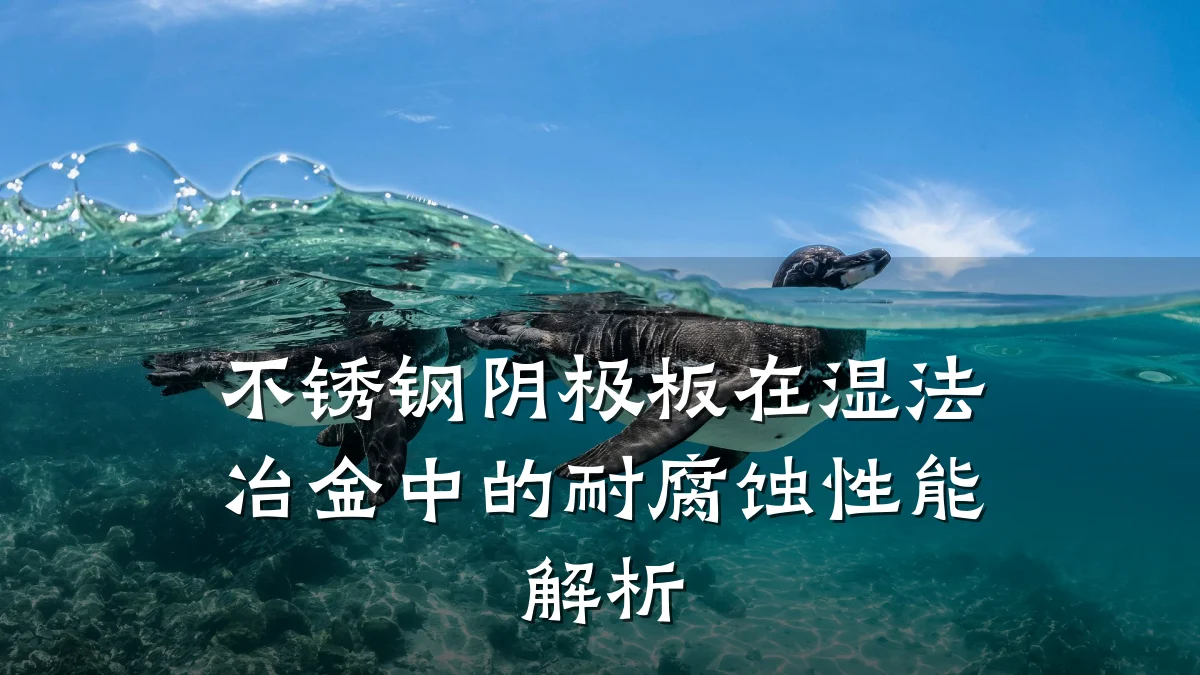 不锈钢阴极板在湿法冶金中的耐腐蚀性能解析