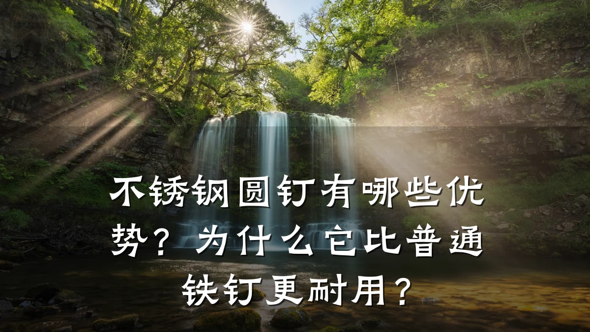不锈钢圆钉有哪些优势?为什么它比普通铁钉更耐用?