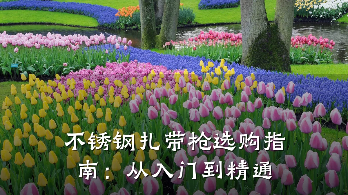 不锈钢扎带枪选购指南：从入门到精通