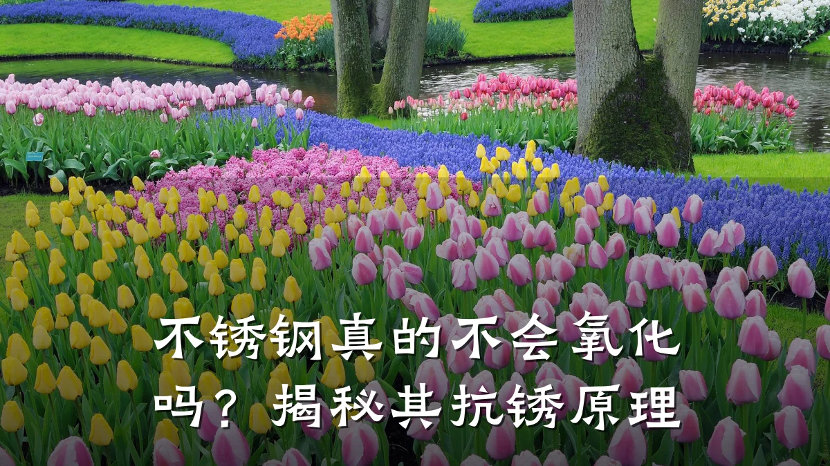 不锈钢真的不会氧化吗?揭秘其抗锈原理