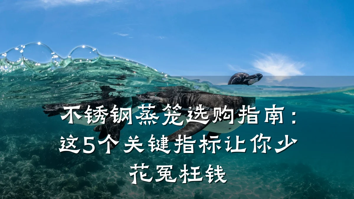 不锈钢蒸笼选购指南:这5个关键指标让你少花冤枉钱