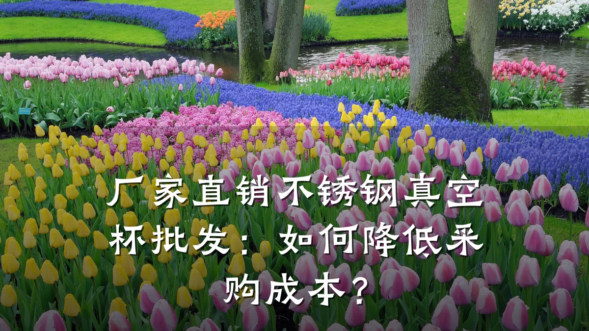 厂家直销不锈钢真空杯批发:如何降低采购成本?