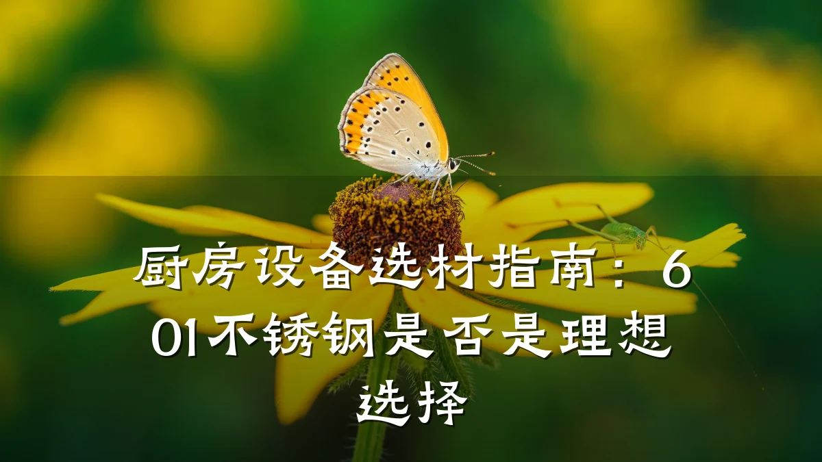 厨房设备选材指南：601不锈钢是否是理想选择