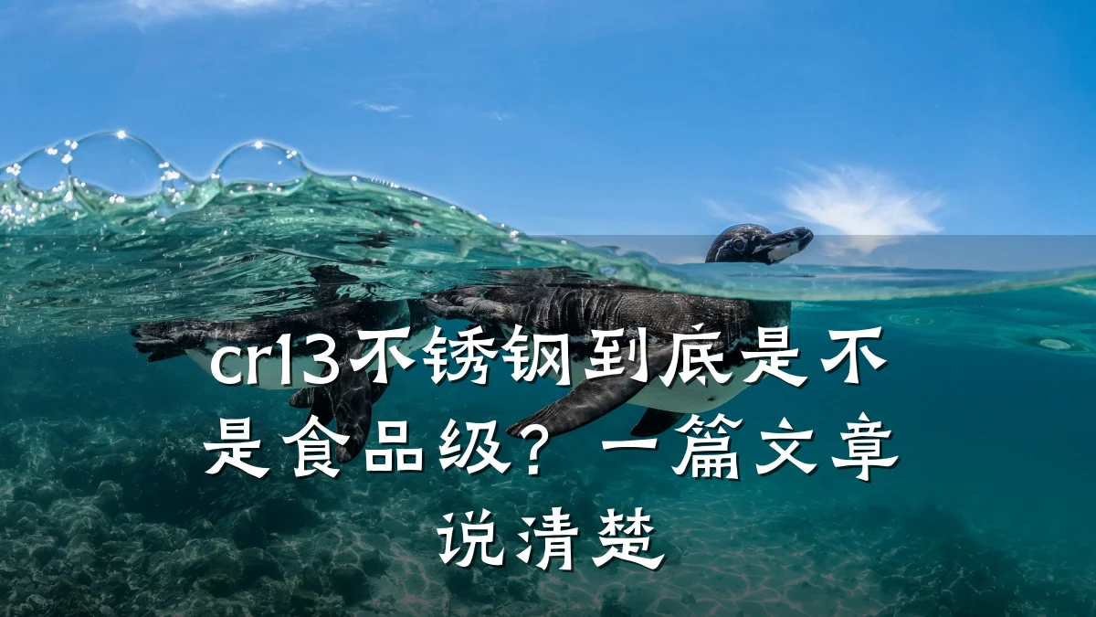 cr13不锈钢到底是不是食品级？一篇文章说清楚