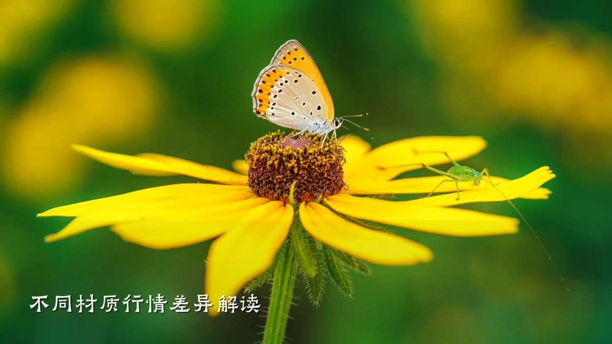 不同材质行情差异解读