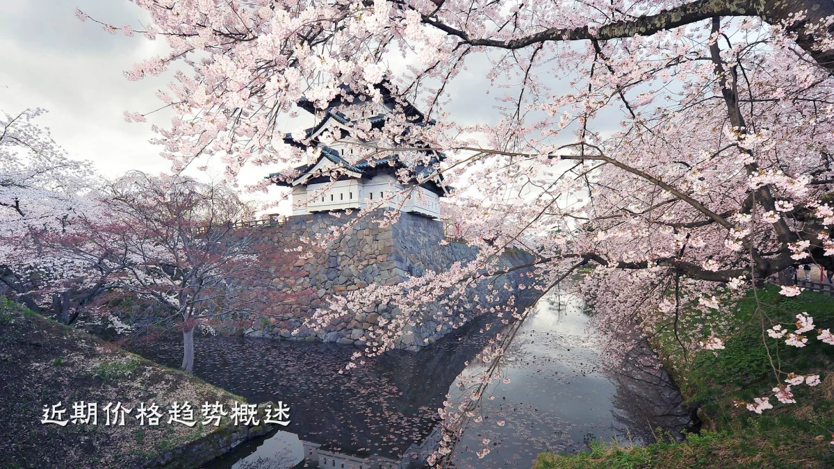 近期价格趋势概述