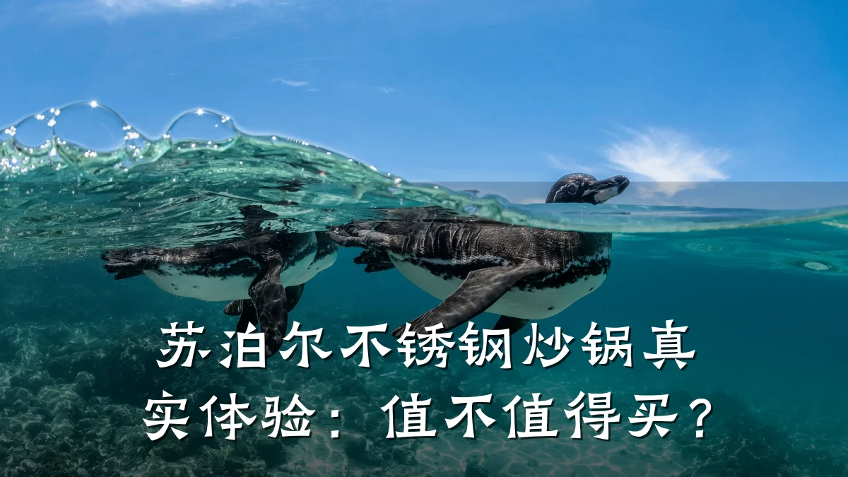 苏泊尔不锈钢炒锅真实体验：值不值得买？