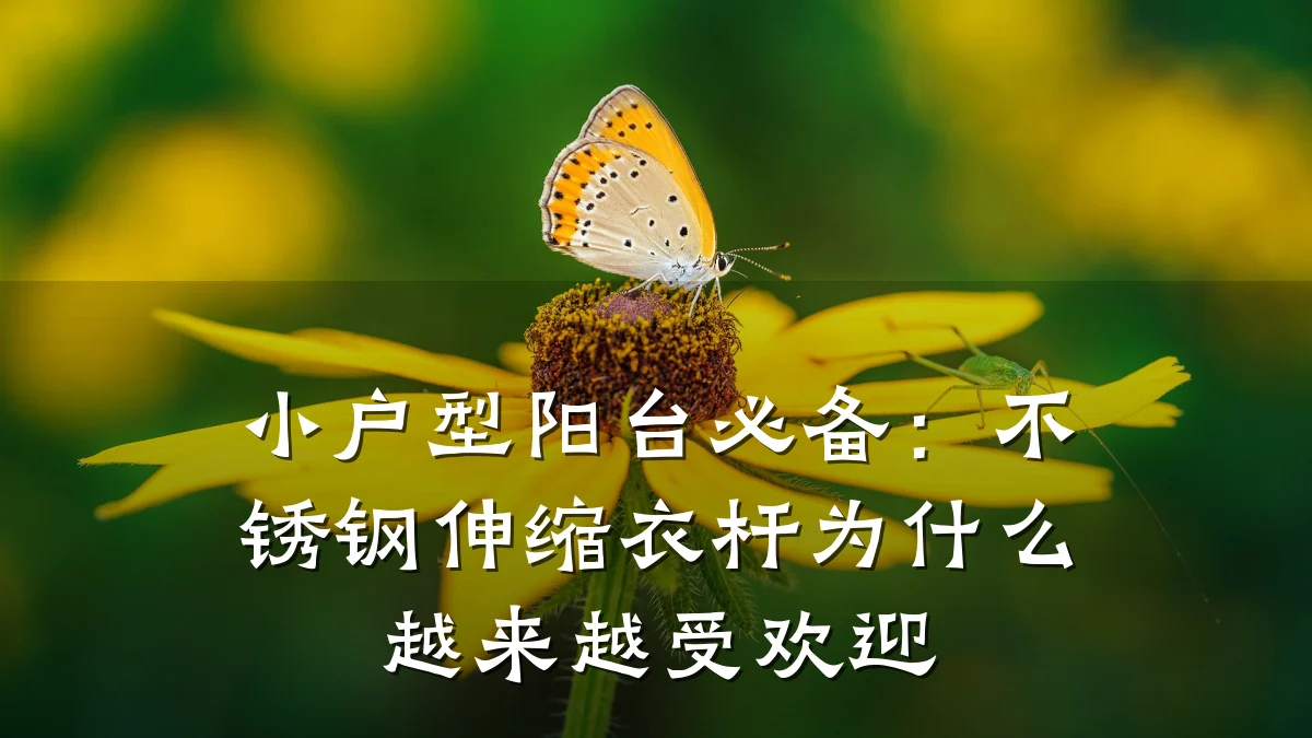 小户型阳台必备:不锈钢伸缩衣杆为什么越来越受欢迎