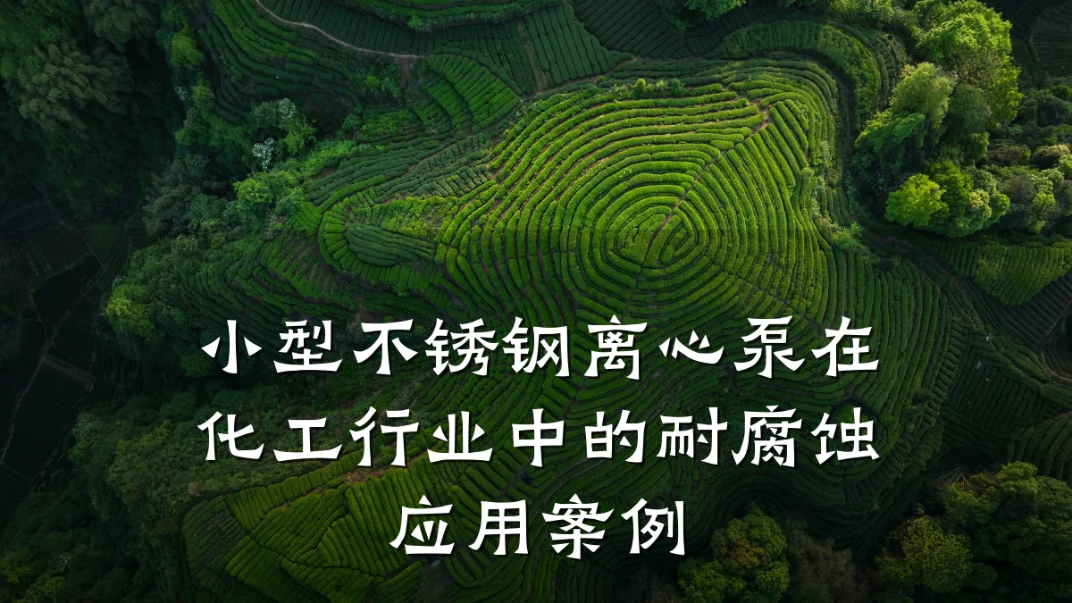 小型不锈钢离心泵在化工行业中的耐腐蚀应用案例