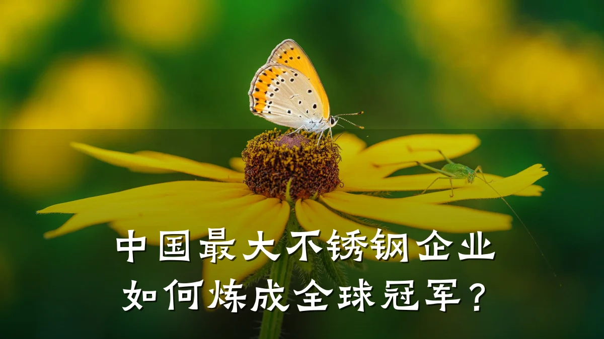 中国最大不锈钢企业如何炼成全球冠军？